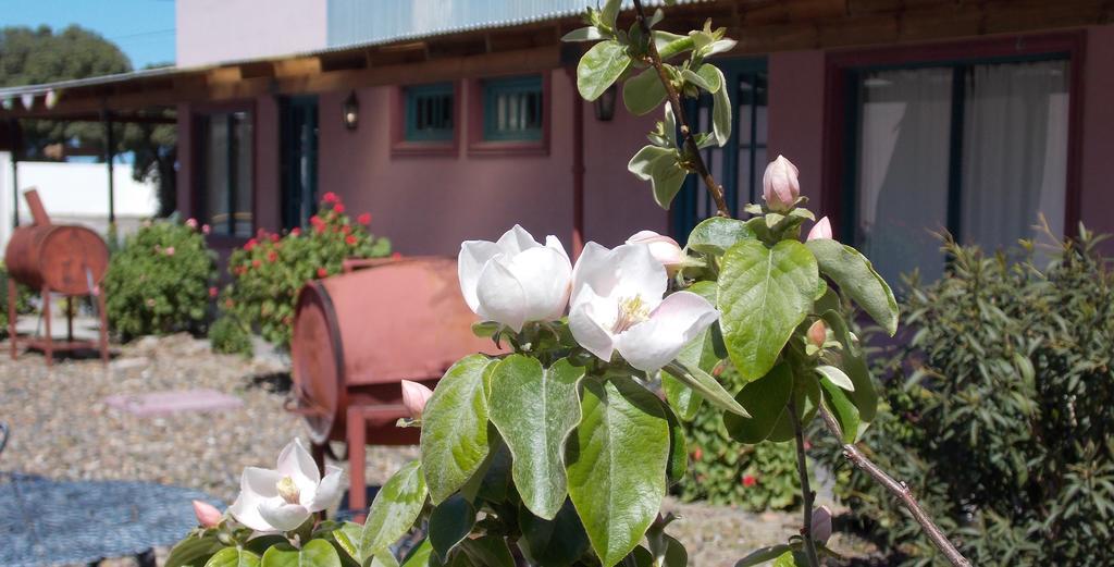 Posada Caracoles Puerto Piramides Room photo