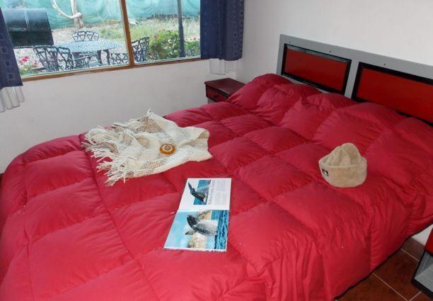 Posada Caracoles Puerto Piramides Room photo